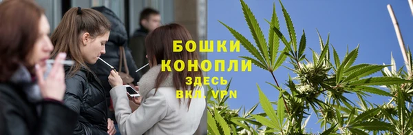 крисы Медвежьегорск