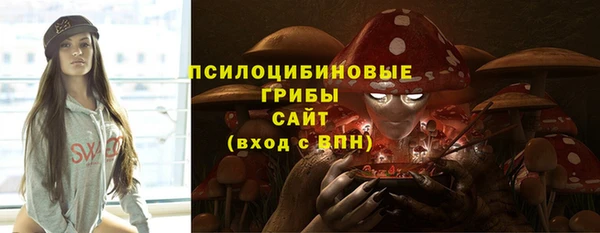 Альфа ПВП Магадан