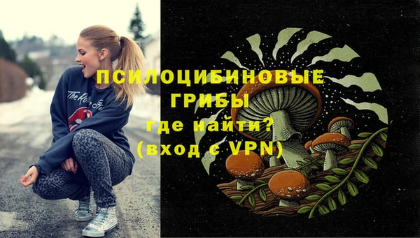 Альфа ПВП Магадан