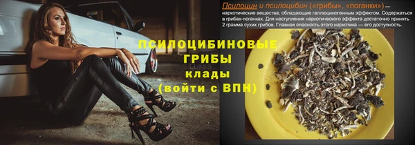 гидра Магас
